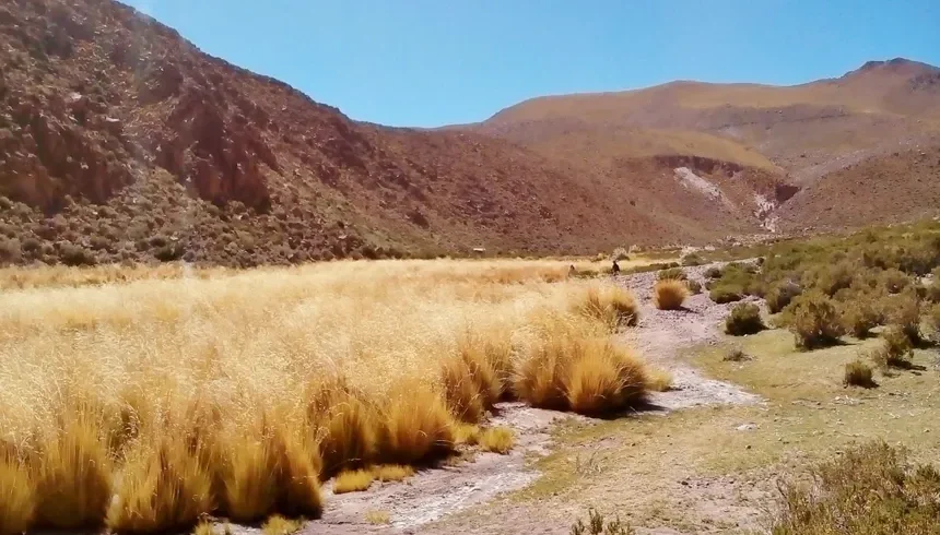 Trekking Machuca – Río Grande