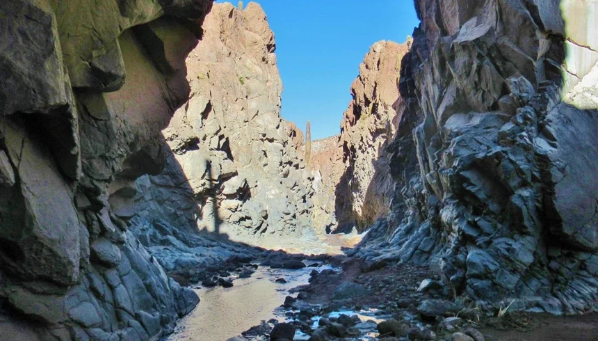 Trekking Valle de los Cactus